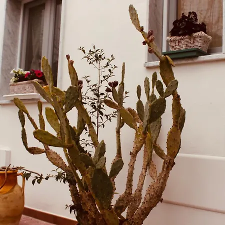 Maison Luigi - Casa Vacanze1 Nociglia